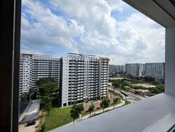 Blk 249 Compassvale Haven (Sengkang), HDB 4 Rooms #594134081